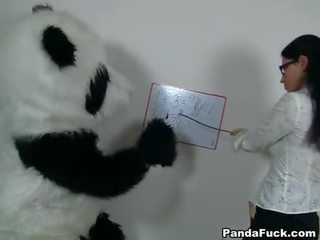 Sexy profesora para cachonda panda osos